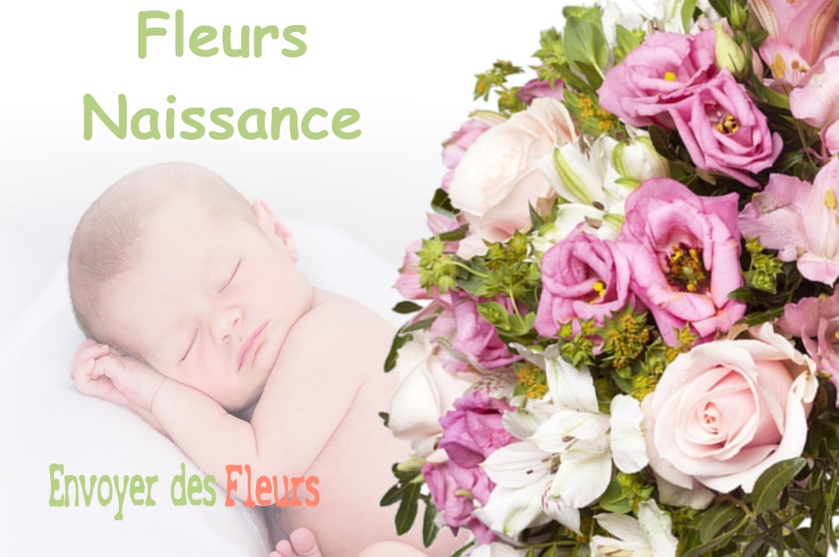 lIVRAISON FLEURS NAISSANCE à LION-DEVANT-DUN